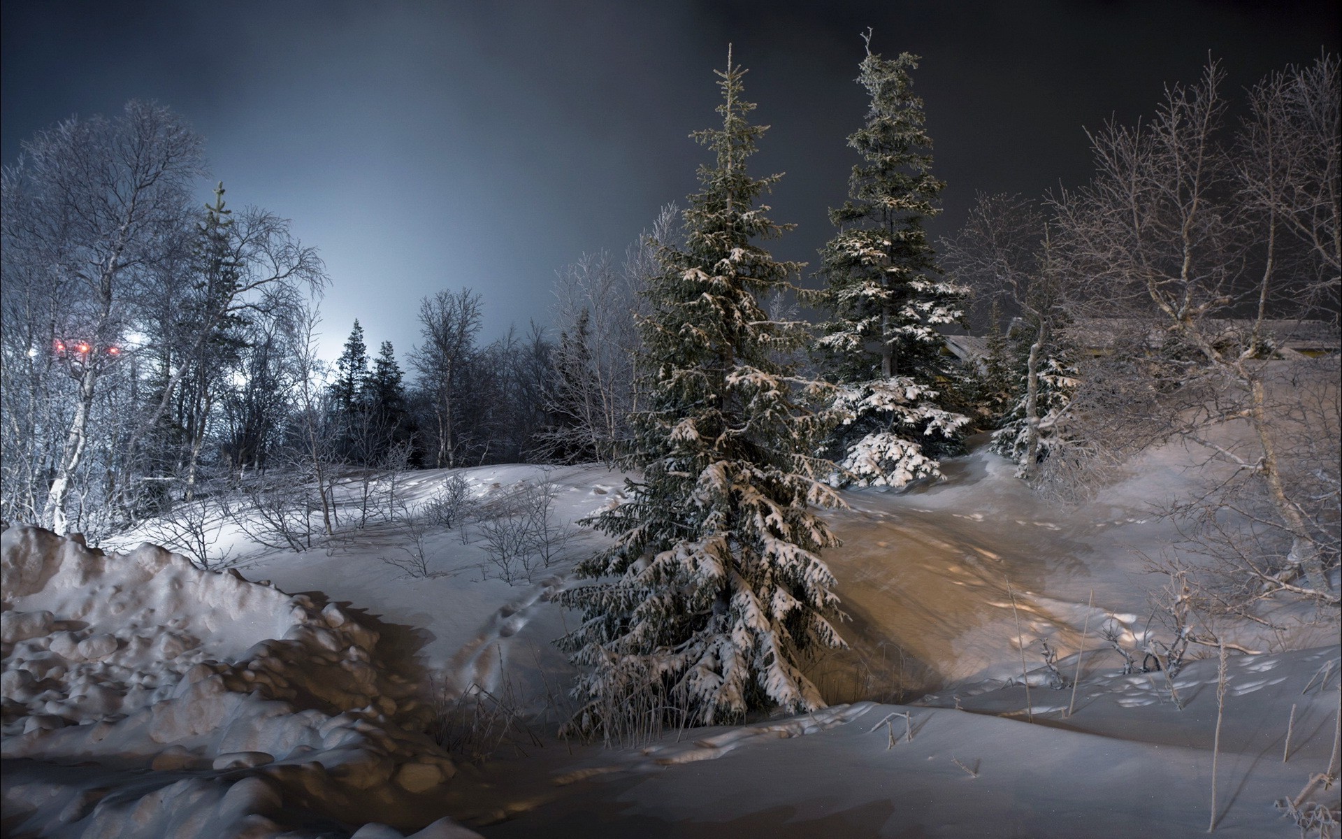 night, Landscape, Trees, Snow, Ice, Winter Wallpapers HD / Desktop and