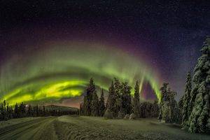 nature, Landscape, Finland, Aurorae, Winter, Forest, Snow, Road, Lights, Starry Night, Cold, Trees