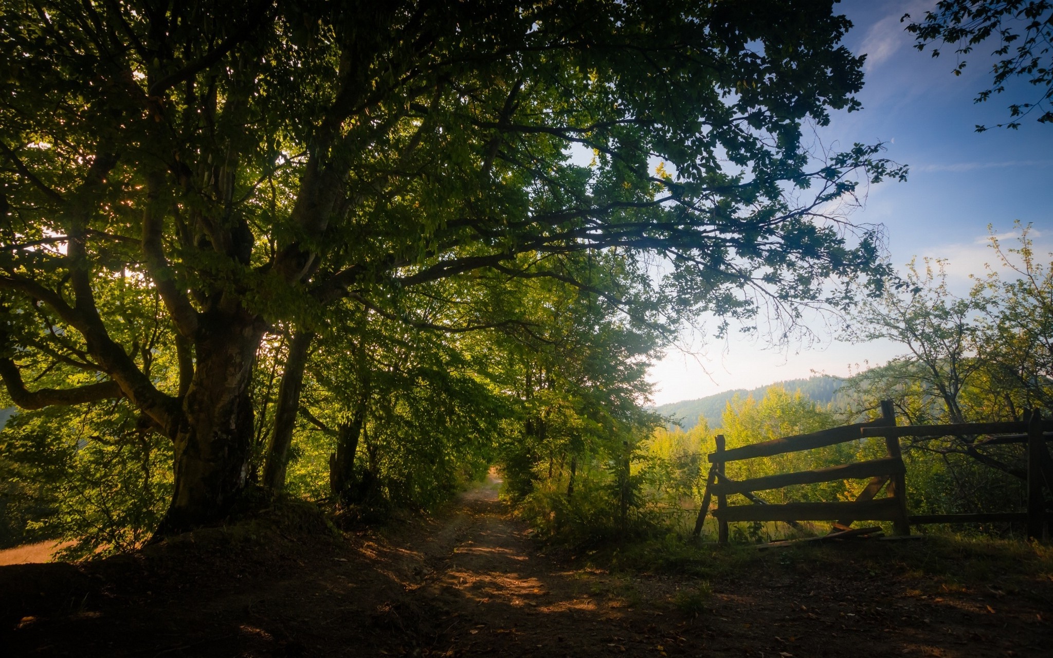 landscape, Nature, Dirt Road, Trees, Shadow, Path, Fence, Foliage, Mountain, Sunlight Wallpaper