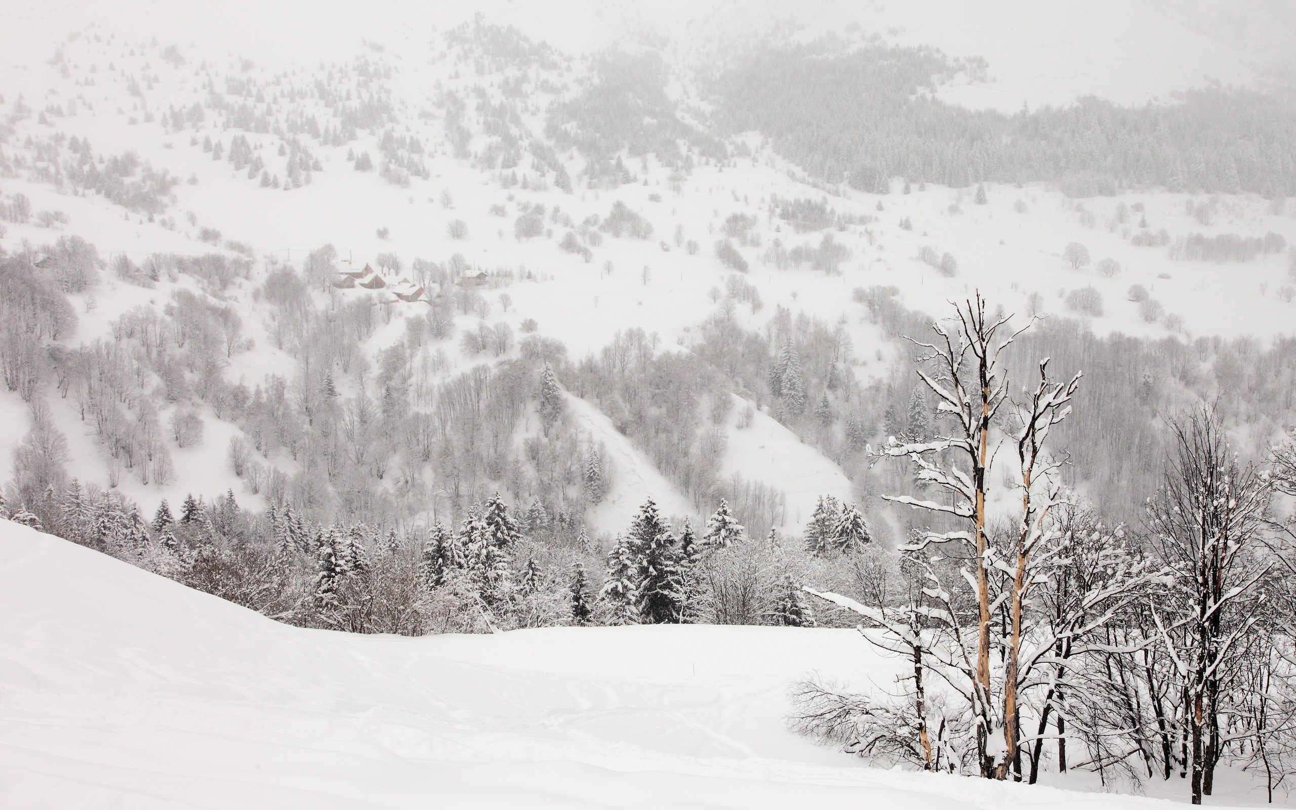 nature, Snow, Winter, Mountain, Landscape Wallpaper