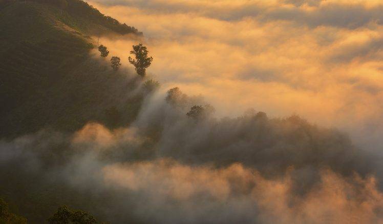 landscape, Nature, Sunrise, Mist, Trees, Field, Terraces, Thailand, Hill HD Wallpaper Desktop Background
