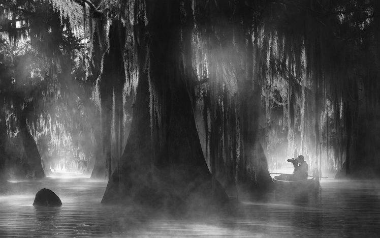 nature, Landscape, Cypress, Trees, Mist, Atmosphere, Photographers, Water, Boat, Louisiana, Sunrise, Sunlight, Monochrome, Forest, Camera HD Wallpaper Desktop Background