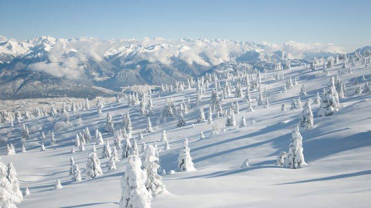 landscape, Snow, Pine Trees, Mountain HD Wallpaper Desktop Background