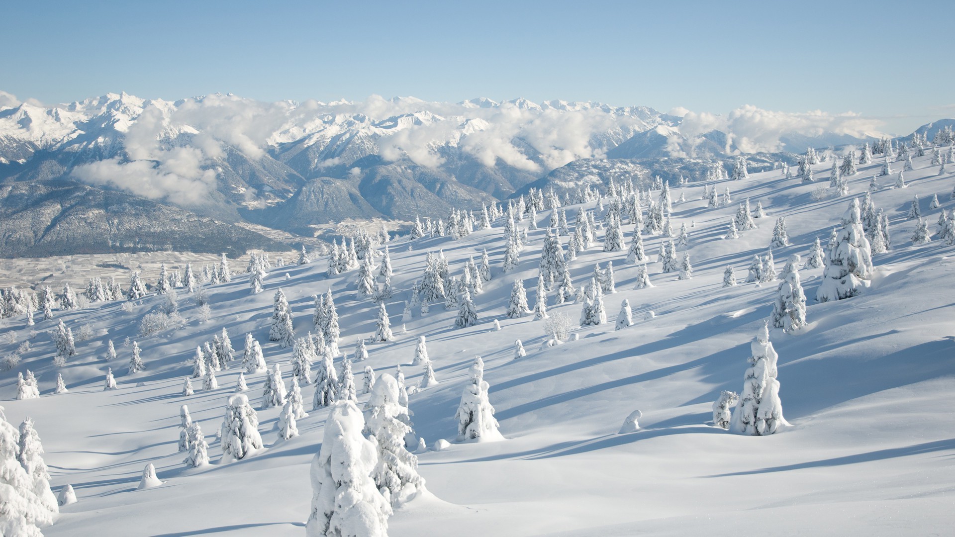 landscape, Snow, Pine Trees, Mountain Wallpaper
