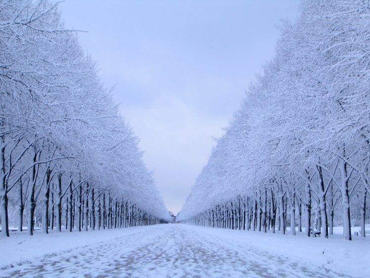 nature, Snow, Trees, Winter, Landscape HD Wallpaper Desktop Background