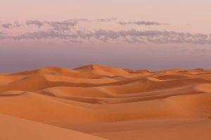 desert, Landscape