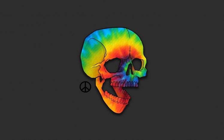 skull, Bones, Artwork, Humor, Minimalism HD Wallpaper Desktop Background
