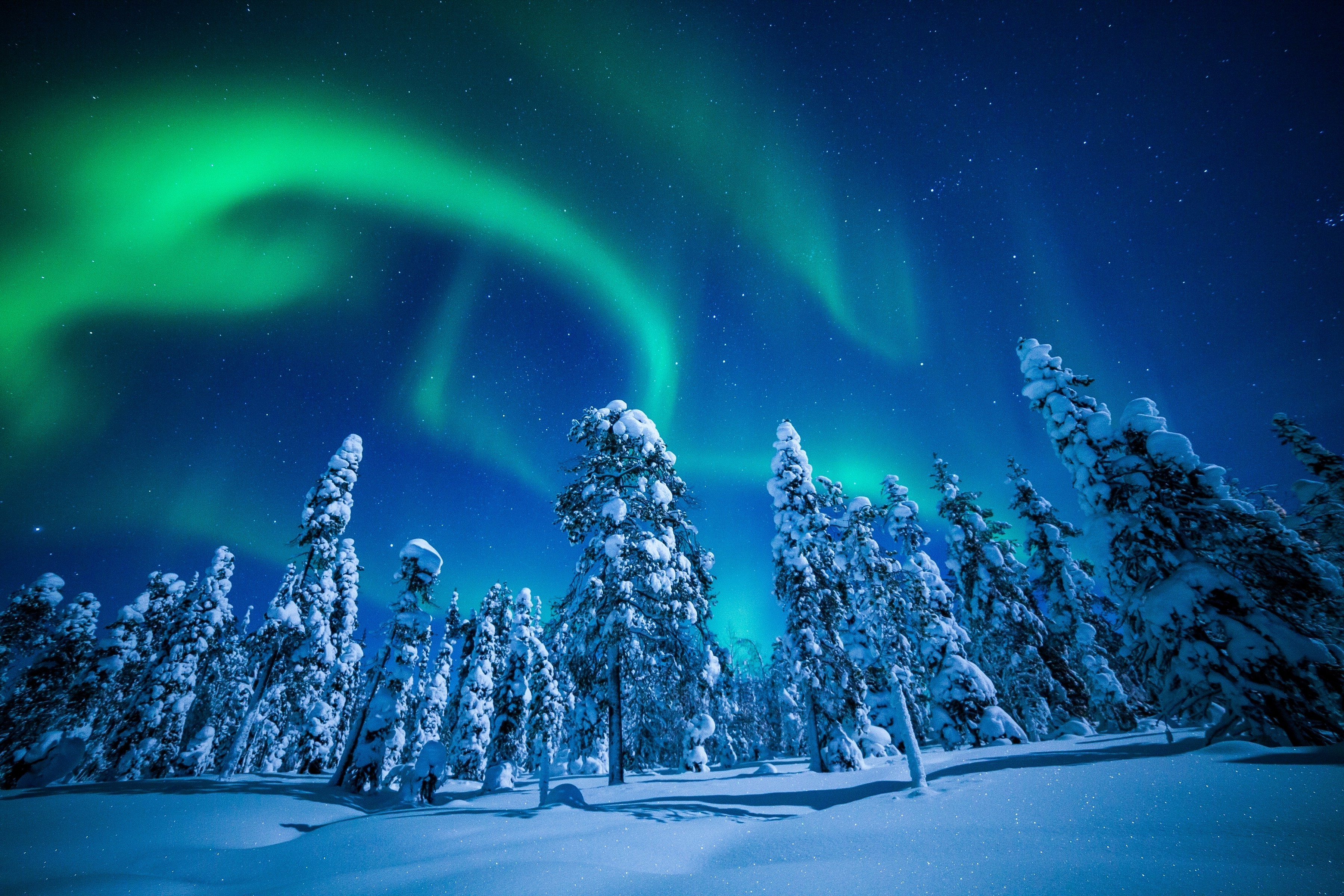 landscape, Snow Wallpaper