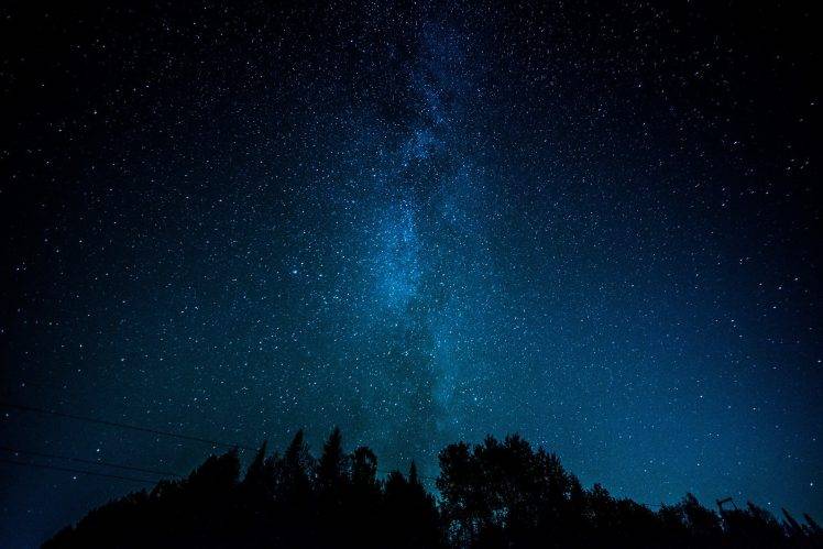 stars, Landscape, Trees, Silhouette, Milky Way HD Wallpaper Desktop Background