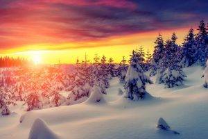 landscape, Snow, Trees, Sunset