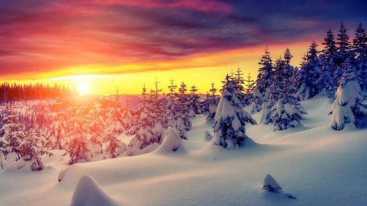 landscape, Snow, Trees, Sunset HD Wallpaper Desktop Background