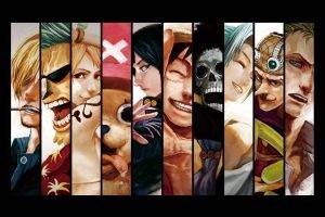 One Piece, Roronoa Zoro, Usopp, Brook, Monkey D. Luffy, Tony Tony Chopper, Nami, Franky, Sanji, Nefertari Vivi, Nico Robin, Panels