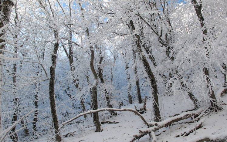 nature, Winter, Landscape HD Wallpaper Desktop Background