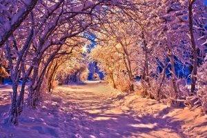 nature, Winter, Landscape