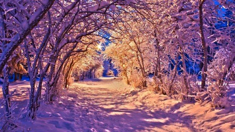 nature, Winter, Landscape HD Wallpaper Desktop Background