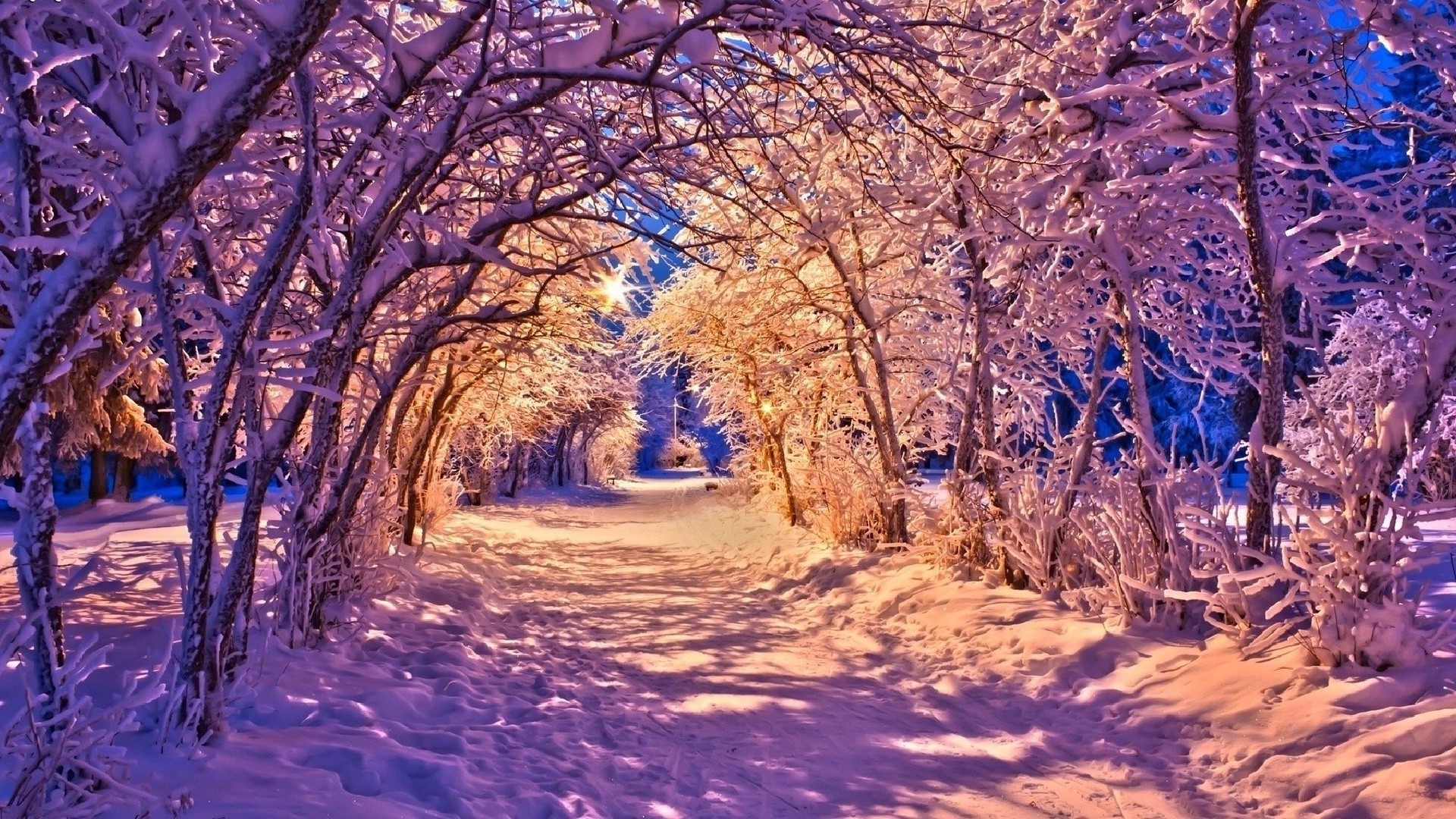 nature, Winter, Landscape Wallpaper