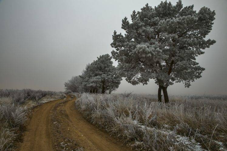 nature, Landscape, Winter, Ice, Snow, Trees HD Wallpaper Desktop Background