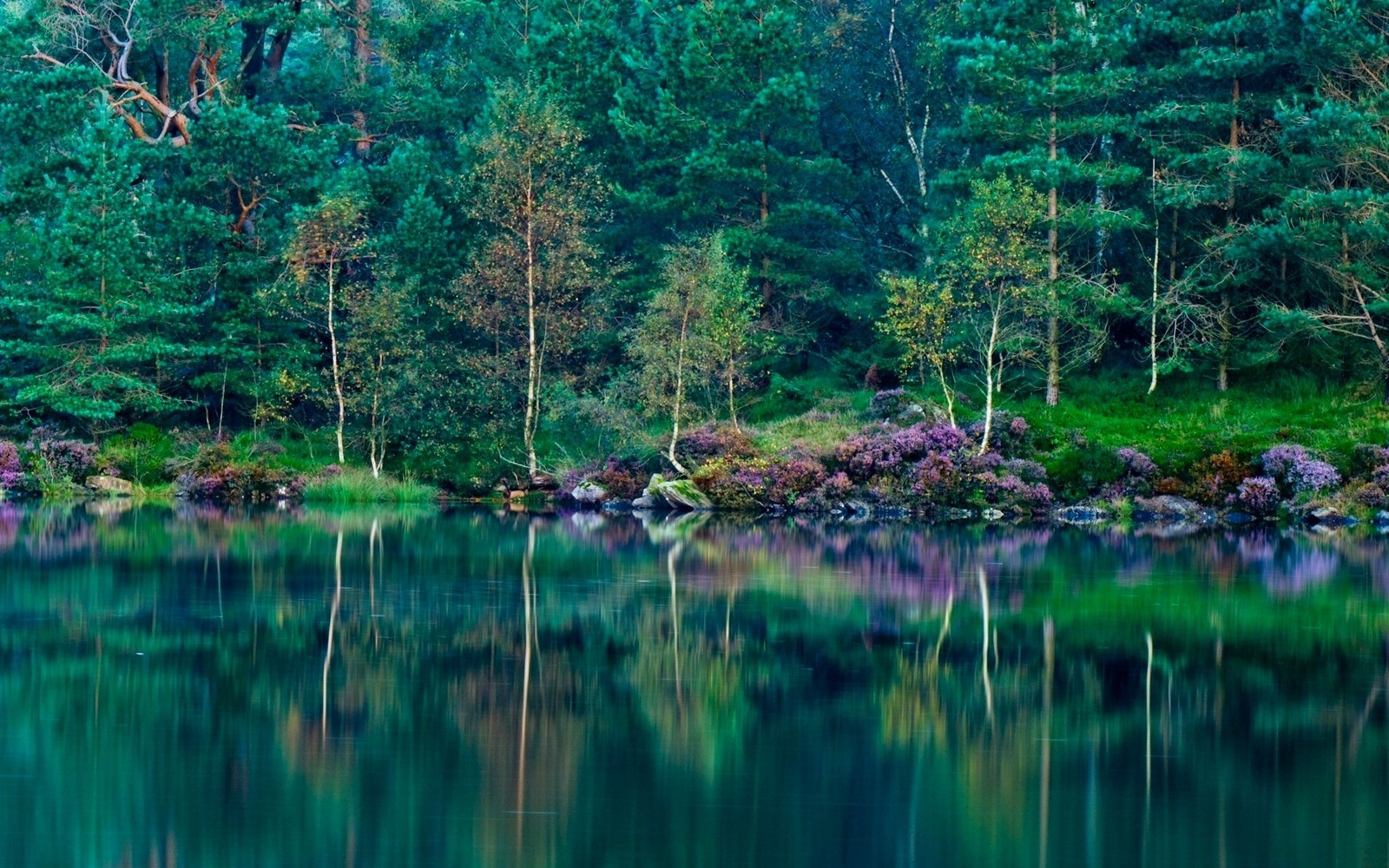 landscape, Nature, Lake, Forest, Green, Reflection, Wildflowers, Trees, Grass, England, Spring Wallpaper