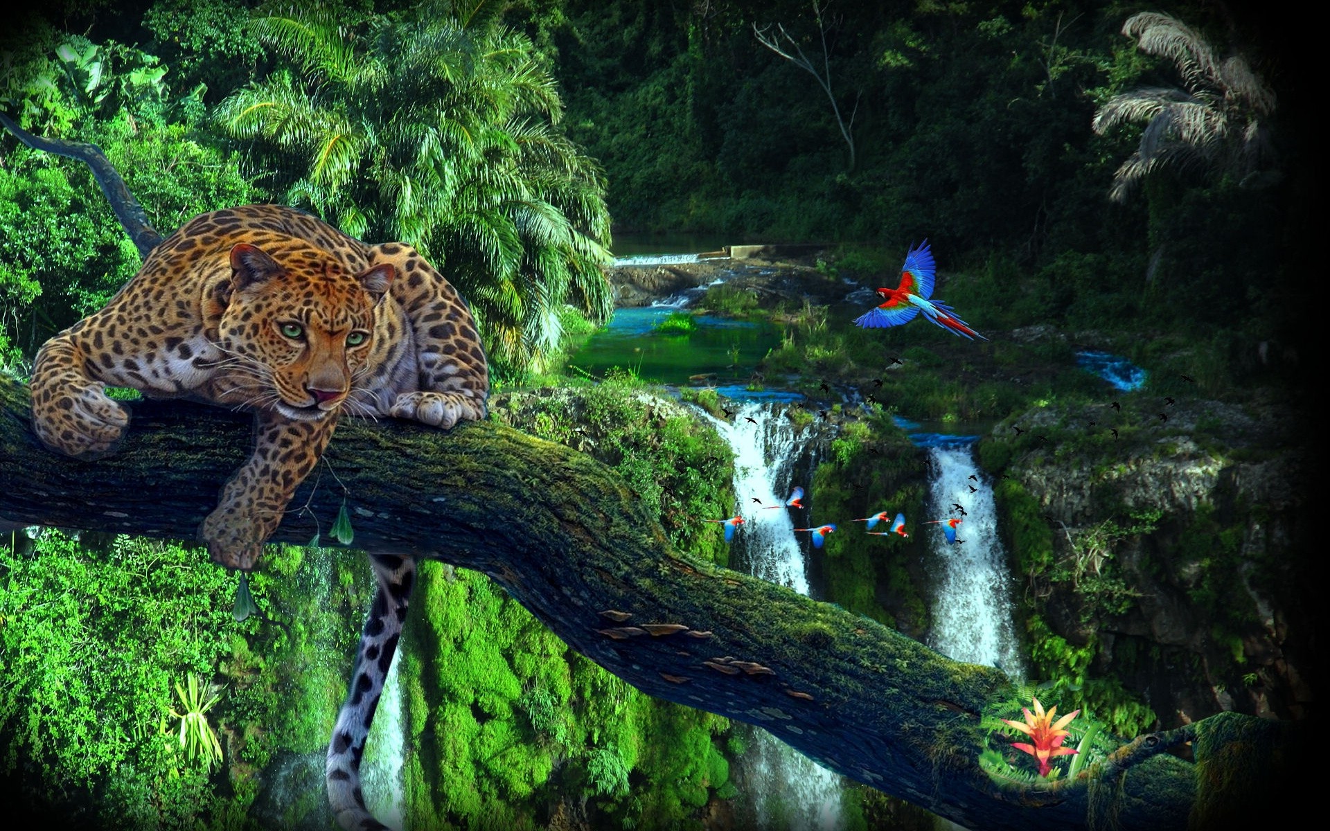 Paisagens Naturais Com Animais FDPLEARN