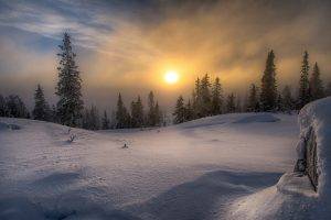 landscape, Nature, Winter, Snow, Forest, Frost, Sun, Mist, Pine Trees, Clouds, Norway, Cold