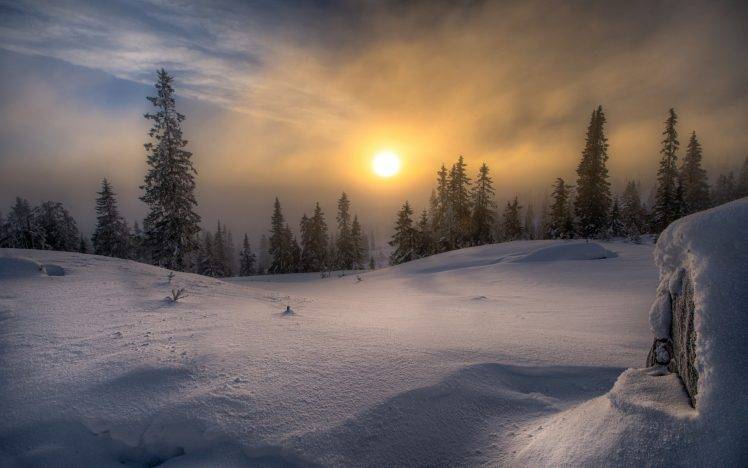 landscape, Nature, Winter, Snow, Forest, Frost, Sun, Mist, Pine Trees, Clouds, Norway, Cold HD Wallpaper Desktop Background