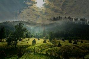 landscape, Nature, Morning, Sunlight, Sky, Mist, Field, Forest, Hill, Fence, Trees, Green, Clouds, Sunrise