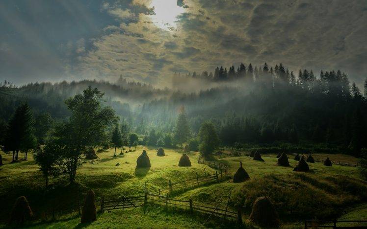 landscape, Nature, Morning, Sunlight, Sky, Mist, Field, Forest, Hill, Fence, Trees, Green, Clouds, Sunrise HD Wallpaper Desktop Background