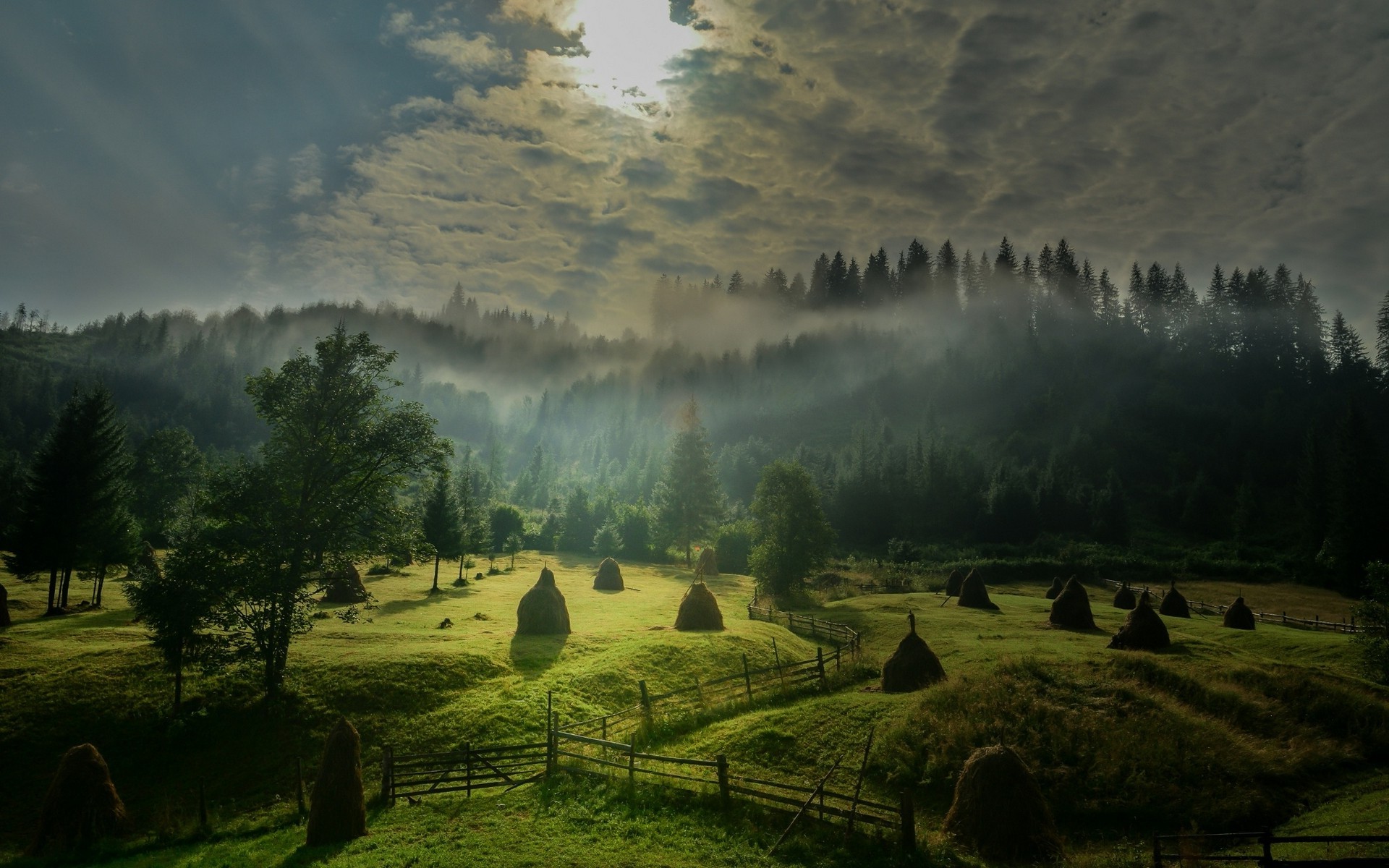 landscape, Nature, Morning, Sunlight, Sky, Mist, Field, Forest, Hill, Fence, Trees, Green, Clouds, Sunrise Wallpaper