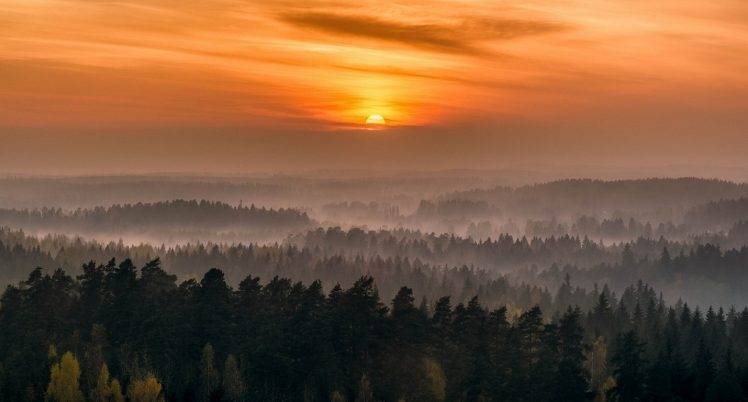 nature, Landscape, Sunrise, Sky, Clouds, Mist, Forest, Hill, Trees HD Wallpaper Desktop Background