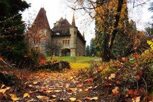 nature, Landscape, Architecture, Building, Old Building, Trees, Forest, Leaves, Branch, Fall, Tower, Mansions, Cottage