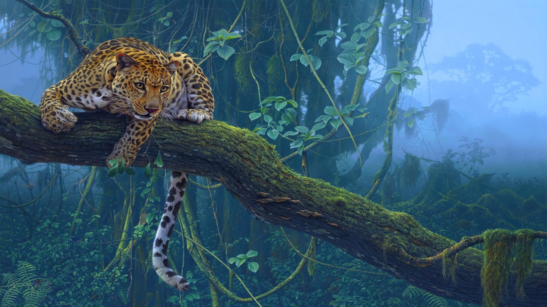 Animals Tiger Trees Branch Daniel Smith Wallpapers Hd Desktop