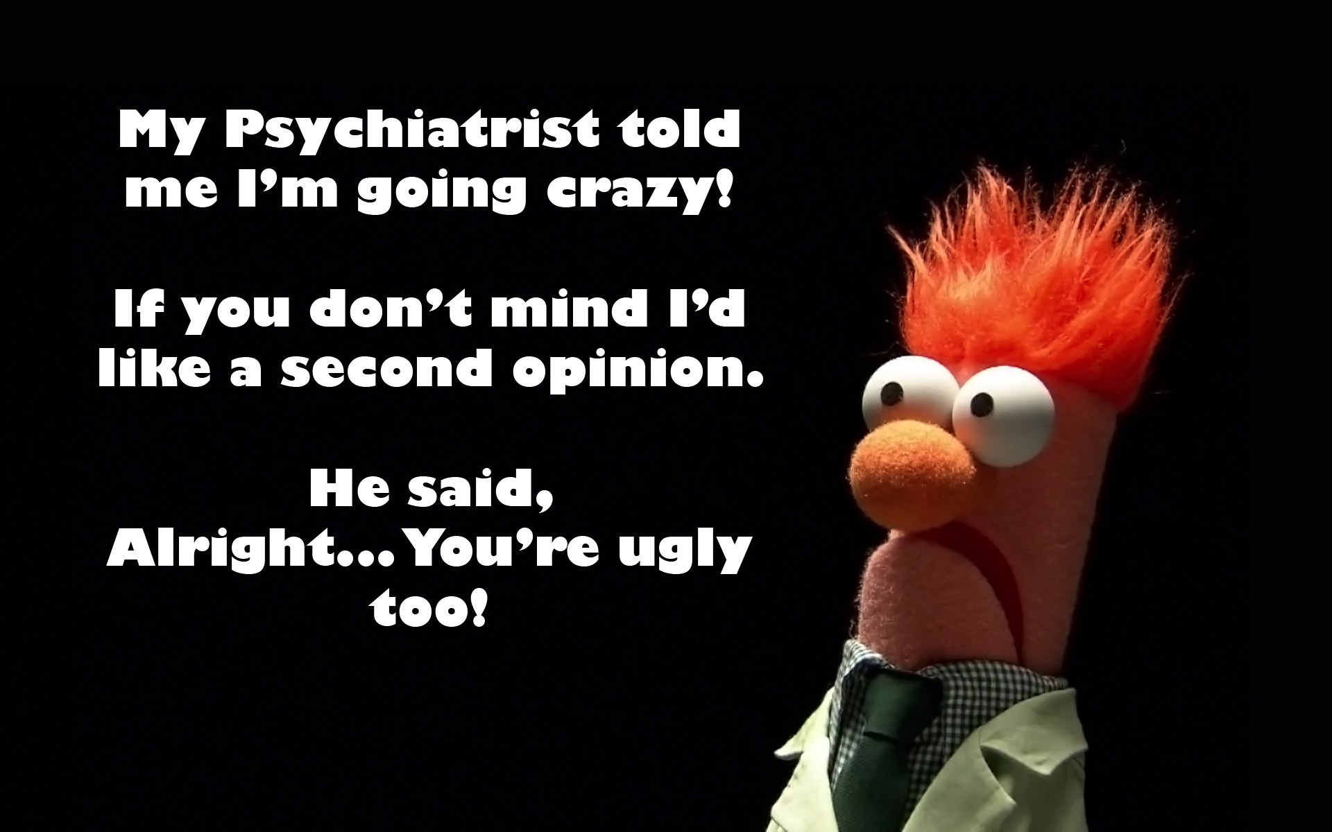 quote, Humor, The Muppets Wallpaper