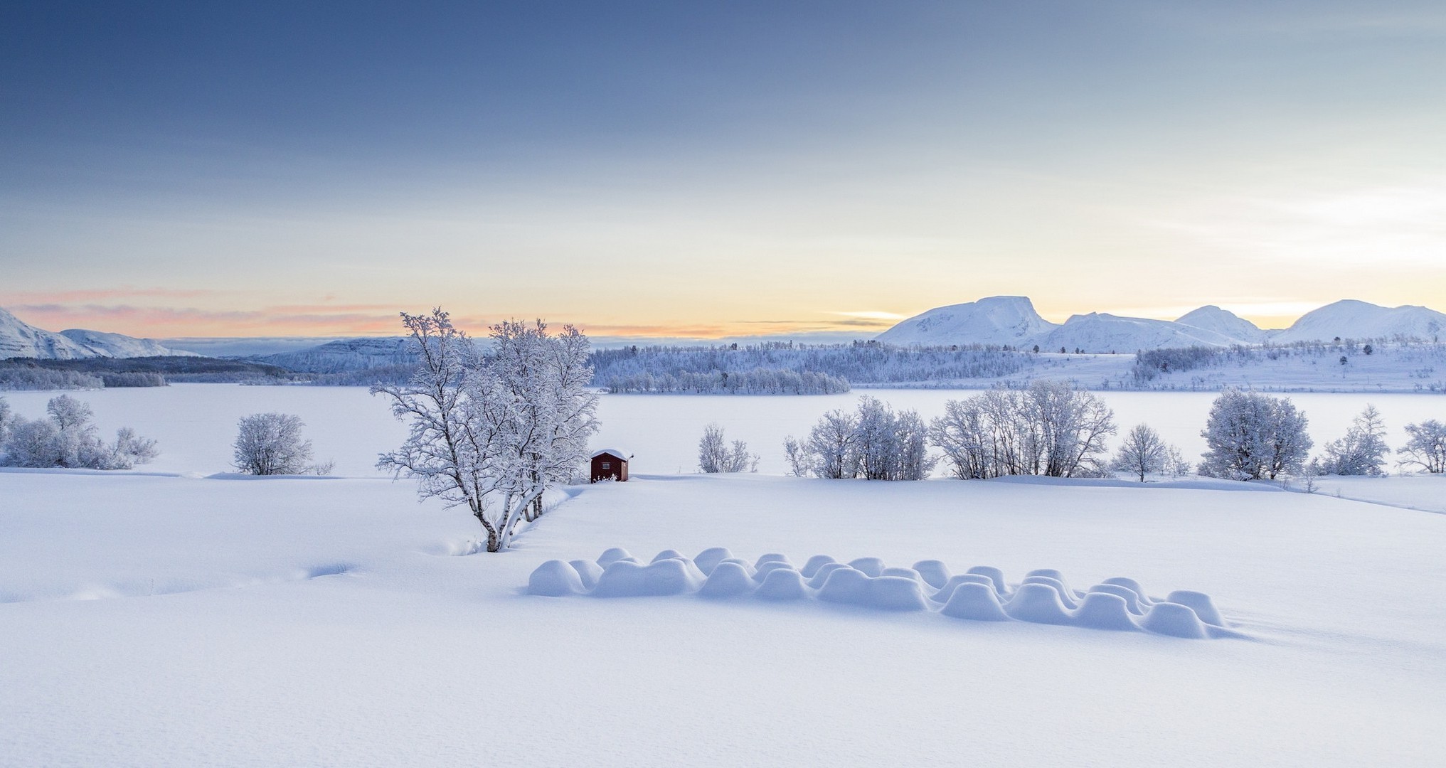 landscape, Trees, Winter Wallpaper