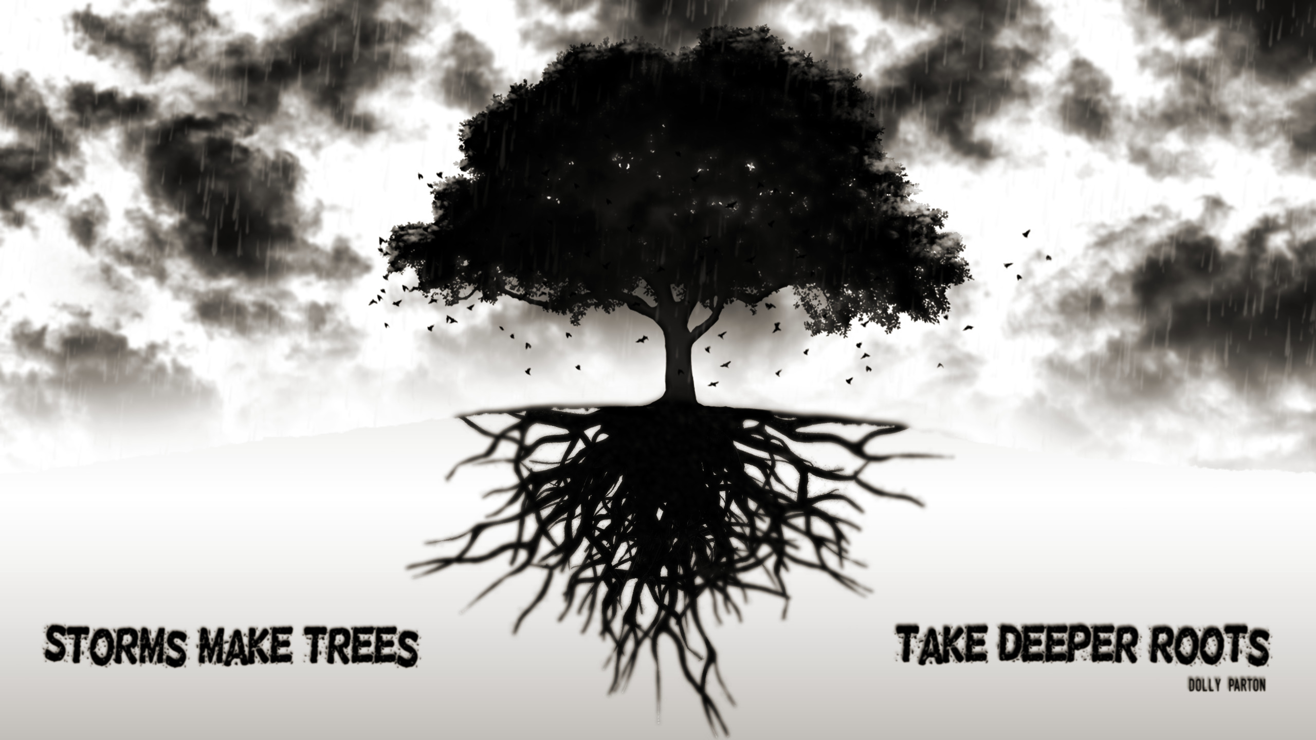 quote, Trees, Storm, Roots Wallpaper