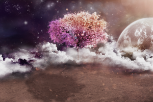 trees, Clouds, Planet, Moon, Night