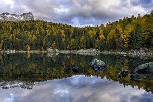 landscape, Lake, Pine Trees, Lago Di Saoseo, Switzerland