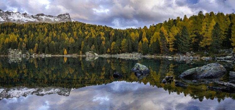 landscape, Lake, Pine Trees, Lago Di Saoseo, Switzerland HD Wallpaper Desktop Background