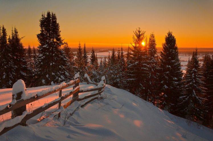 landscape, Snow, Pine Trees, Nature HD Wallpaper Desktop Background