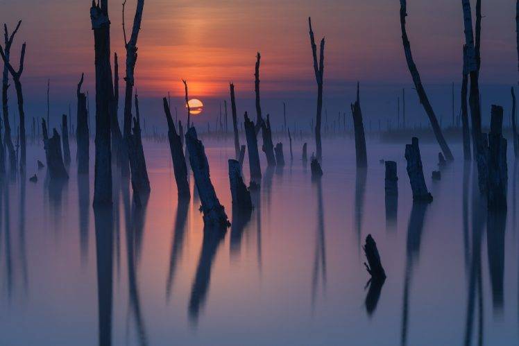 nature, Landscape, Mist, Lake, Sunset, Dead Trees, Sky, Reflection, Sunlight, Atmosphere HD Wallpaper Desktop Background