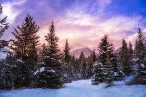 nature, Landscape, Forest, Winter, Mountain, Clouds, Snow, Pine Trees, Alberta, Canada, Sunlight