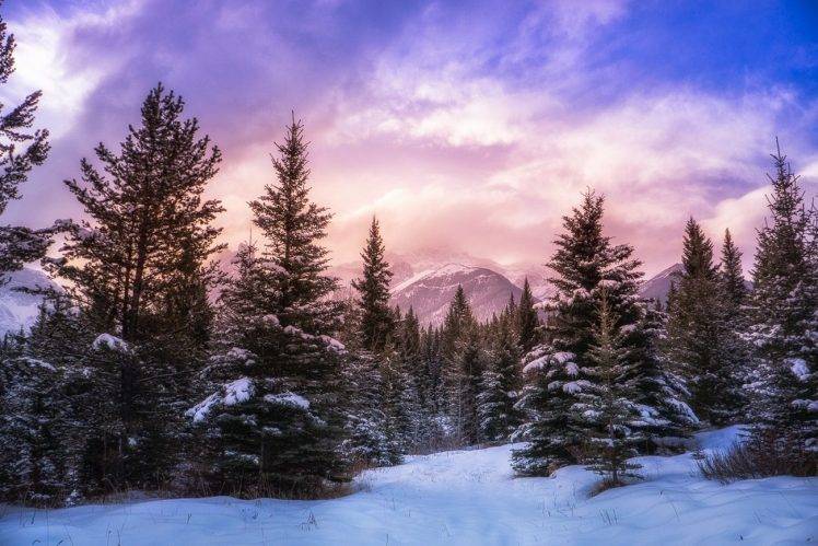 nature, Landscape, Forest, Winter, Mountain, Clouds, Snow, Pine Trees, Alberta, Canada, Sunlight HD Wallpaper Desktop Background