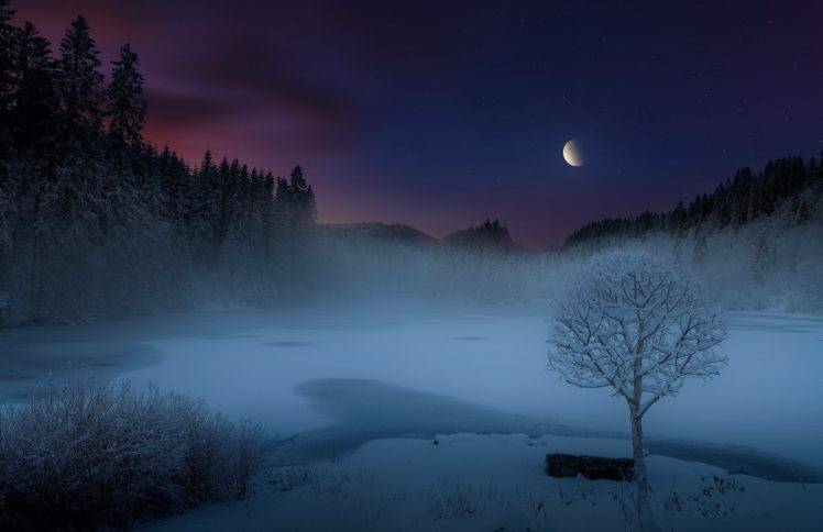 nature, Landscape, Mist, Lake, Snow, Forest, Moon, Shrubs, Trees, Frost, Hill, Norway, Moonlight, Starry Night, Winter HD Wallpaper Desktop Background