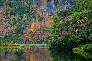 nature, Landscape, Forest, Fall, Lake, Reflection, Mountain, National Park, Chile, Trees, Colorful, Shrubs