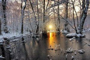 nature, Landscape, Cold, Winter, Sunrise, Snow, Forest, Frost, Sunlight, White, Yellow, Trees, Sweden