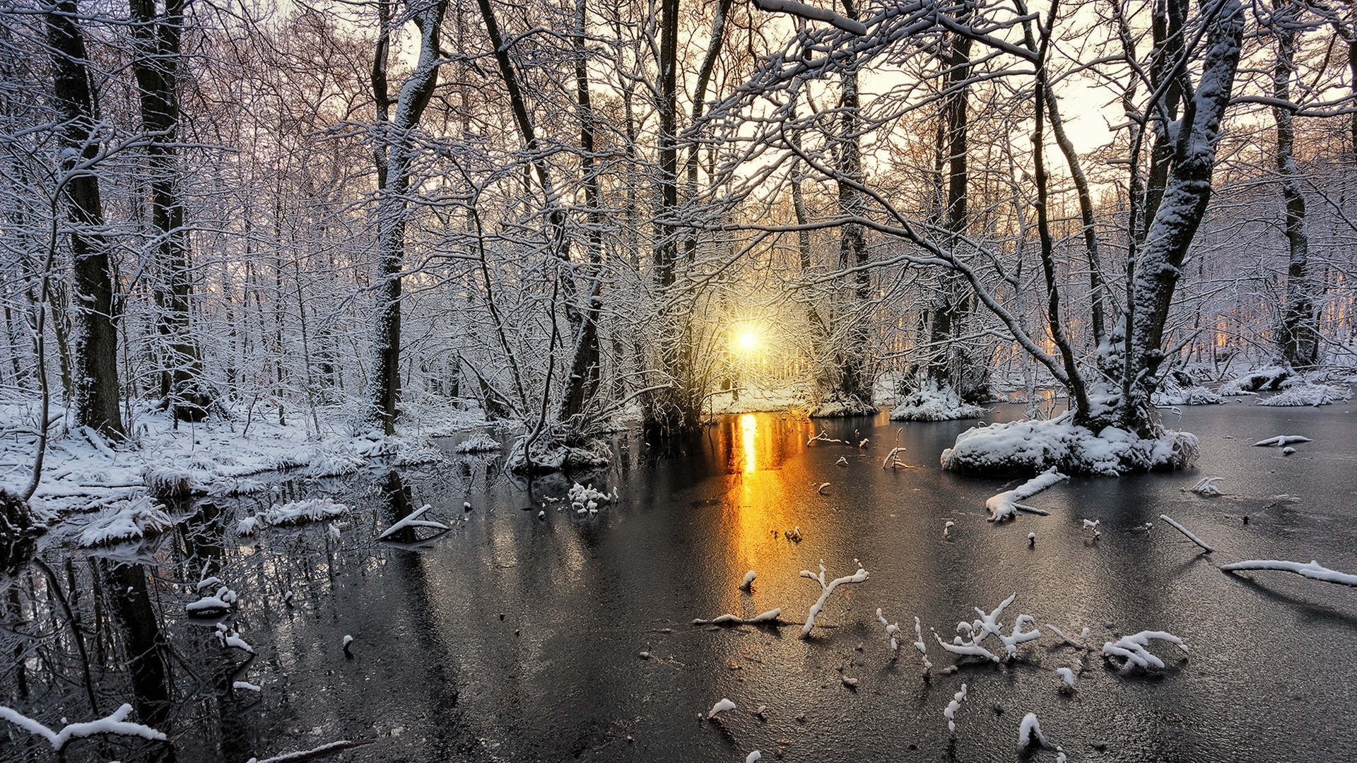 nature, Landscape, Cold, Winter, Sunrise, Snow, Forest, Frost, Sunlight