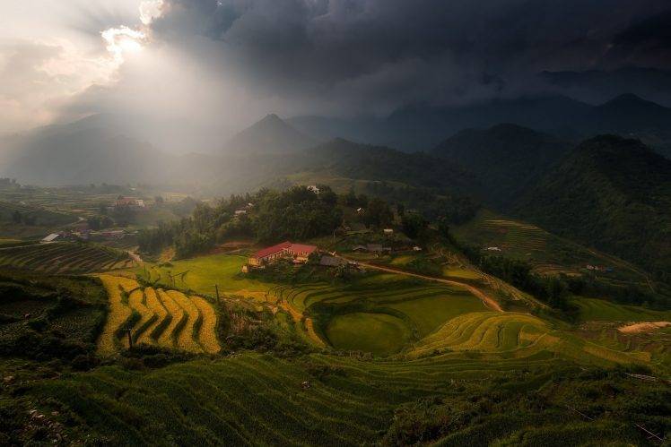 landscape, Nature, Mist, Village, Mountain, Tea, Terraces, Field, Clouds, Sun Rays, Sunlight, Trees, Vietnam, Rice Paddy HD Wallpaper Desktop Background