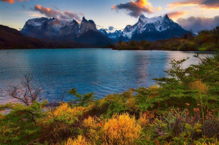 nature, Landscape, Lake, Sunset, Spring, Mountain, Snowy Peak, Shrubs, Wildflowers, Torres Del Paine, National Park, Chile HD Wallpaper Desktop Background