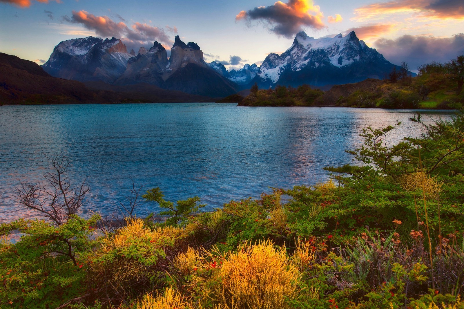 nature, Landscape, Lake, Sunset, Spring, Mountain, Snowy Peak, Shrubs, Wildflowers, Torres Del Paine, National Park, Chile Wallpaper