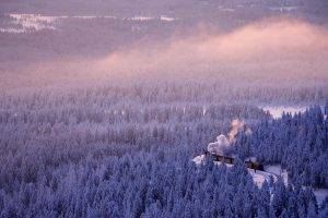 landscape, Snow, Train, Saxonia, Germany, Pine Trees, Forest