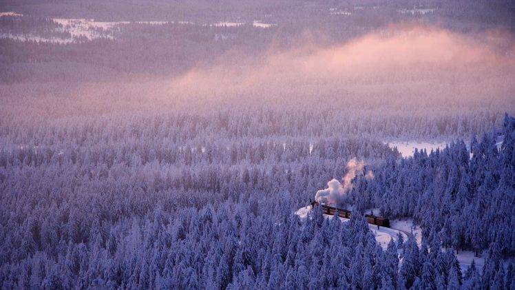 landscape, Snow, Train, Saxonia, Germany, Pine Trees, Forest HD Wallpaper Desktop Background